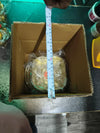 Presents Pure Brass Square Traditional Pooja Basket Dalia